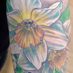 Portfolio item 029